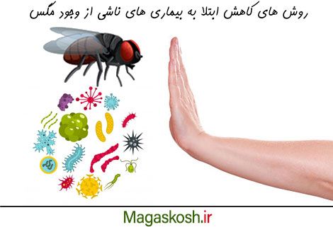 بیماری های ناشی از مگس ها